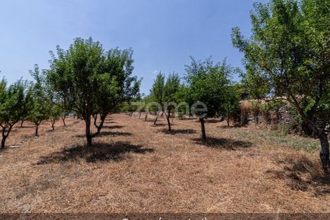 Farm i Loures, Lisbon, Loures - € 39.000 | Ref: ZMPT580061 - foto 26