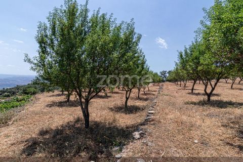 Farm i Loures, Lisbon, Loures - € 39.000 | Ref: ZMPT580061 - foto 27