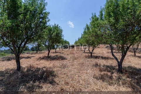 Farm i Loures, Lisbon, Loures - € 39.000 | Ref: ZMPT580061 - foto 28