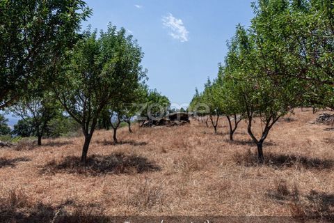 Farm i Loures, Lisbon, Loures - € 39.000 | Ref: ZMPT580061 - foto 29