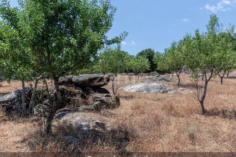 Farm i Loures, Lisbon, Loures - € 39.000 | Ref: ZMPT580061 - foto 30