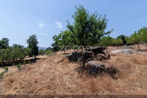 Farm i Loures, Lisbon, Loures - € 39.000 | Ref: ZMPT580061 - foto 32