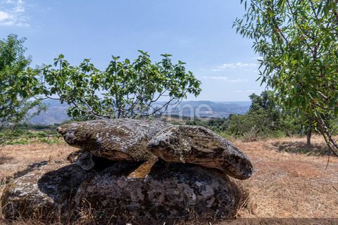 Farm i Loures, Lisbon, Loures - € 39.000 | Ref: ZMPT580061 - foto 33