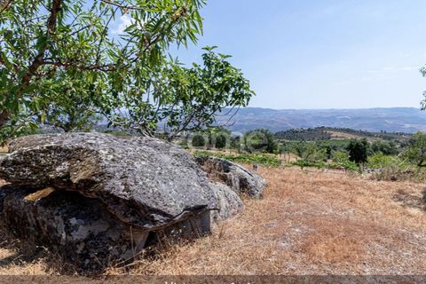 Farm i Loures, Lisbon, Loures - € 39.000 | Ref: ZMPT580061 - foto 34