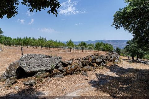 Farm i Loures, Lisbon, Loures - € 39.000 | Ref: ZMPT580061 - foto 35
