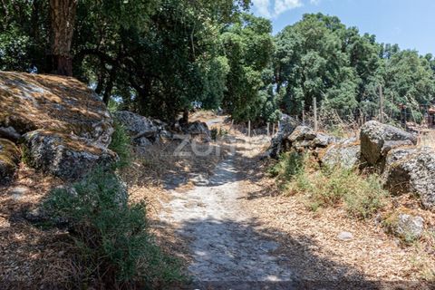 Farm i Loures, Lisbon, Loures - € 39.000 | Ref: ZMPT580061 - foto 37