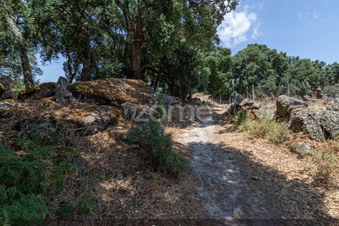 Farm i Loures, Lisbon, Loures - € 39.000 | Ref: ZMPT580061 - foto 36