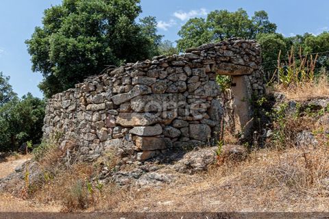 Farm i Loures, Lisbon, Loures - € 39.000 | Ref: ZMPT580061 - foto 15