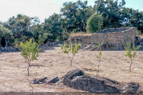 Farm i Loures, Lisbon, Loures - € 39.000 | Ref: ZMPT580061 - foto 17