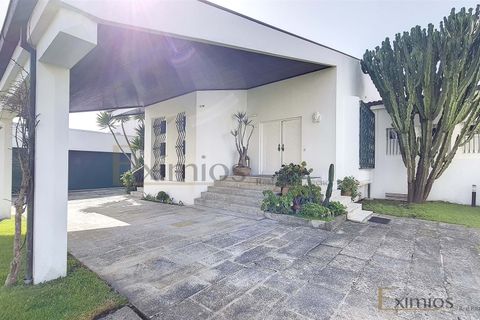 Villa i Esposende, Braga, Esposende - € 1.750.000 | Ref: EX03021 - foto 41