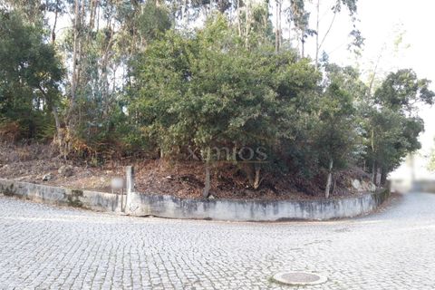 Helårsgrund i Vila do Conde, Porto, Vila do Conde - € 400.000 | Ref: EX02027 - foto 2