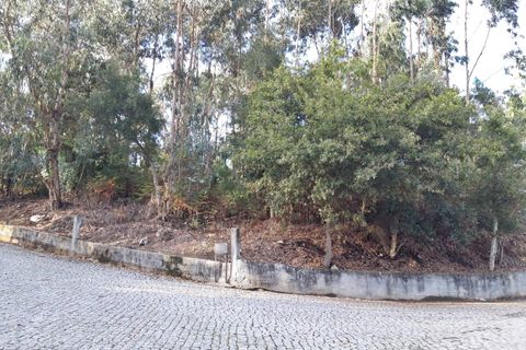 Helårsgrund i Vila do Conde, Porto, Vila do Conde - € 400.000 | Ref: EX02027 - foto 4