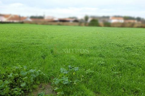 Helårsgrund i Vila do Conde, Porto, Vila do Conde - € 640.000 | Ref: EX02047 - foto 1