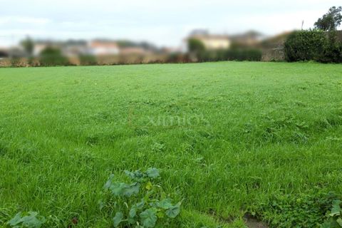 Helårsgrund i Vila do Conde, Porto, Vila do Conde - € 640.000 | Ref: EX02047 - foto 2