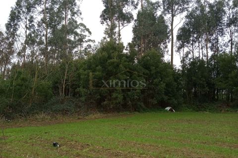Helårsgrund i Vila do Conde, Porto, Vila do Conde - € 800.000 | Ref: EX01768 - foto 2