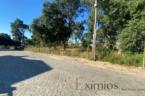 Tomt i Vila do Conde, Porto, Vila do Conde - € 500 000 | Ref: EX02736 - foto 2