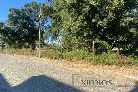 Tomt i Vila do Conde, Porto, Vila do Conde - € 500 000 | Ref: EX02736 - foto 3