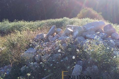 Helårsgrund i Vila do Conde, Porto, Vila do Conde - € 140.000 | Ref: EX03046 - foto 1