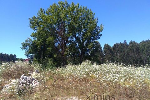 Helårsgrund i Vila do Conde, Porto, Vila do Conde - € 140.000 | Ref: EX03046 - foto 2