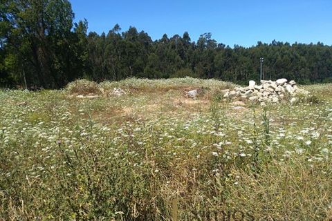 Helårsgrund i Vila do Conde, Porto, Vila do Conde - € 140.000 | Ref: EX03046 - foto 5
