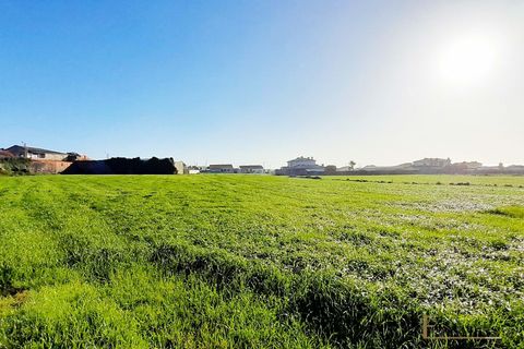 Villa a Perafita, Porto, Perafita - € 540.000 | Ref: EX03567 - foto 18