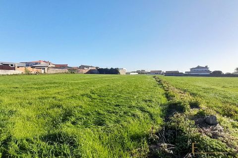 Villa a Perafita, Porto, Perafita - € 540.000 | Ref: EX03567 - foto 19