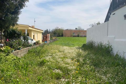 Helårsgrund i Mindelo, Porto, Mindelo - € 60.000 | Ref: EX03366 - foto 3