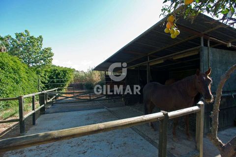 Villa i Estepona, Malaga, Estepona - € 875.000 | Ref: 202260 - foto 11