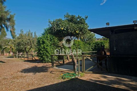 Villa i Estepona, Malaga, Estepona - € 875.000 | Ref: 202260 - foto 12