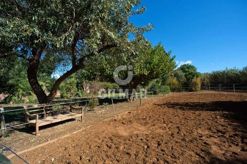 Villa i Estepona, Malaga, Estepona - € 875.000 | Ref: 202260 - foto 13