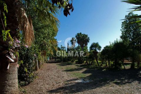 Villa i Estepona, Malaga, Estepona - € 875.000 | Ref: 202260 - foto 16