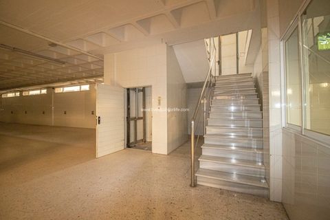 Erhvervsejendom i Elche, Alicante, Elche - € 3.200.000 | Ref: Elche Nave 4 - foto 24