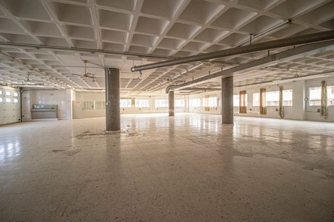 Erhvervsejendom i Elche, Alicante, Elche - € 3.200.000 | Ref: Elche Nave 4 - foto 28