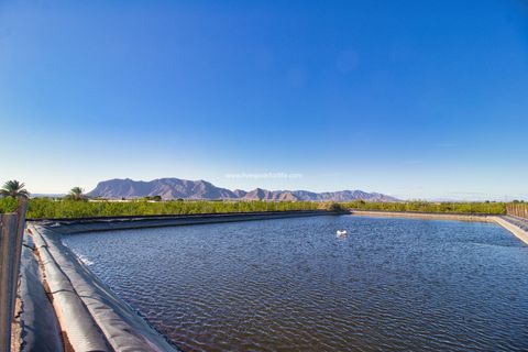 Helårsgrund i Albatera, Alicante, Albatera - € 240.000 | Ref: Alba Plot ML - foto 1
