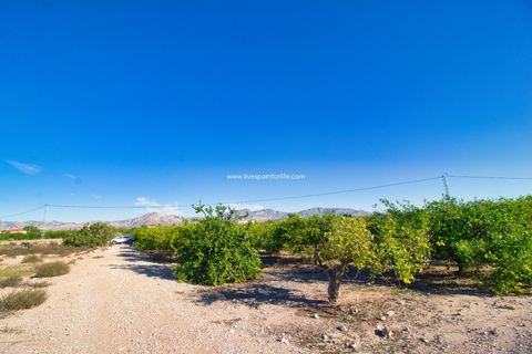 Helårsgrund i Albatera, Alicante, Albatera - € 240.000 | Ref: Alba Plot ML - foto 2