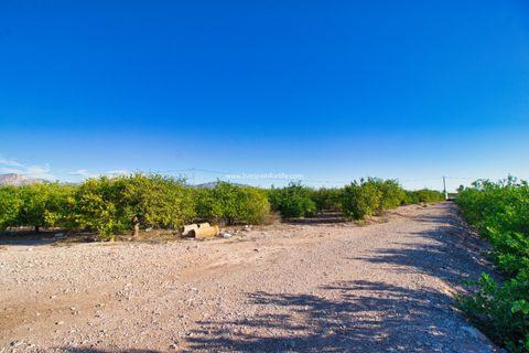 Helårsgrund i Albatera, Alicante, Albatera - € 240.000 | Ref: Alba Plot ML - foto 3