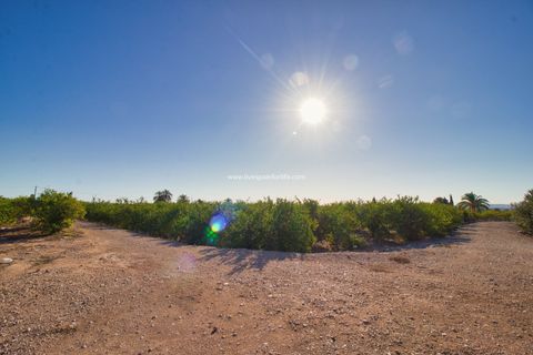Helårsgrund i Albatera, Alicante, Albatera - € 240.000 | Ref: Alba Plot ML - foto 4