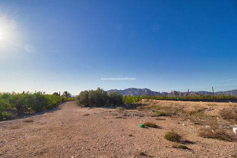 Helårsgrund i Albatera, Alicante, Albatera - € 240.000 | Ref: Alba Plot ML - foto 5
