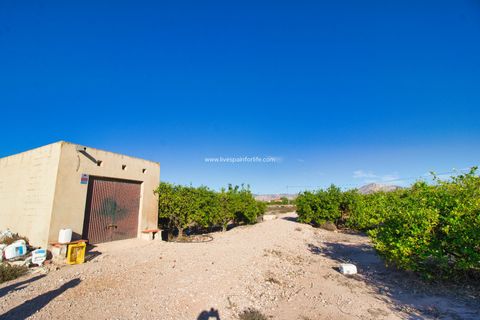 Helårsgrund i Albatera, Alicante, Albatera - € 240.000 | Ref: Alba Plot ML - foto 6