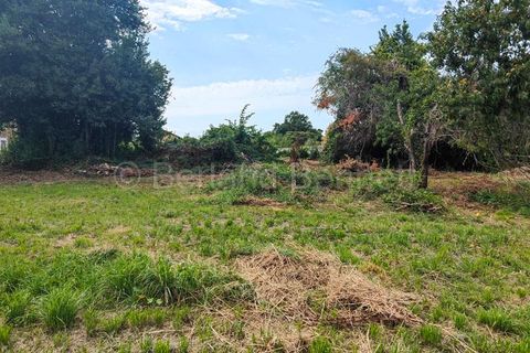 Villa i Chef-Boutonne, Deux-Sevres, Chef-Boutonne - € 14.260 | Ref: 5207 - foto 2