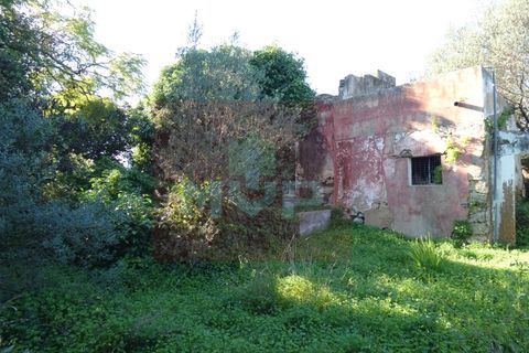 Helårsgrund i Moncarapacho, Faro, Moncarapacho - € 380.000 | Ref: 170240011 - foto 1