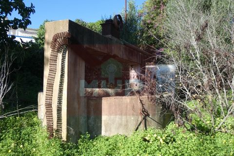 Helårsgrund i Moncarapacho, Faro, Moncarapacho - € 380.000 | Ref: 170240011 - foto 2