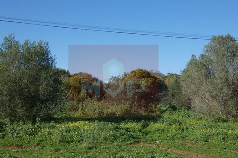 Helårsgrund i Moncarapacho, Faro, Moncarapacho - € 380.000 | Ref: 170240011 - foto 3