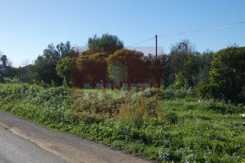 Helårsgrund i Moncarapacho, Faro, Moncarapacho - € 380.000 | Ref: 170240011 - foto 4
