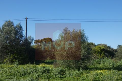 Helårsgrund i Moncarapacho, Faro, Moncarapacho - € 380.000 | Ref: 170240011 - foto 5
