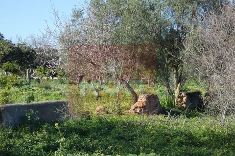 Helårsgrund i Moncarapacho, Faro, Moncarapacho - € 380.000 | Ref: 170240011 - foto 6