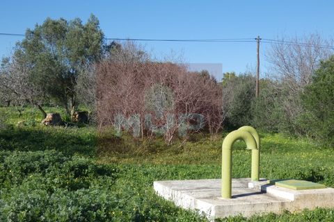 Helårsgrund i Moncarapacho, Faro, Moncarapacho - € 380.000 | Ref: 170240011 - foto 7