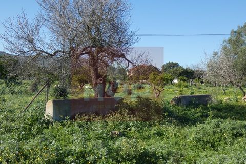 Helårsgrund i Moncarapacho, Faro, Moncarapacho - € 380.000 | Ref: 170240011 - foto 8