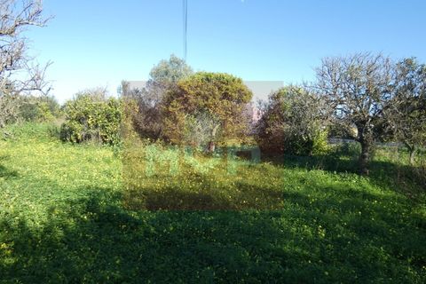 Helårsgrund i Moncarapacho, Faro, Moncarapacho - € 380.000 | Ref: 170240011 - foto 9