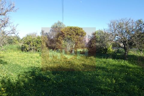 Helårsgrund i Moncarapacho, Faro, Moncarapacho - € 380.000 | Ref: 170240011 - foto 10